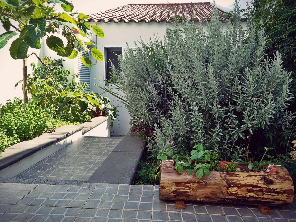 Casa Da Corisca Villa Vila Franca do Campo Exteriör bild